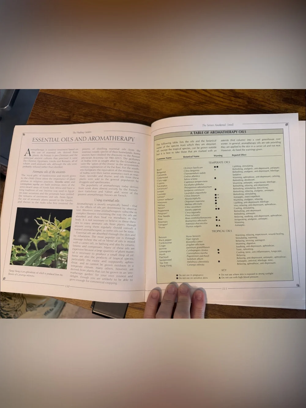 The Healing Garden (1995) Natural Body & Senses softcover